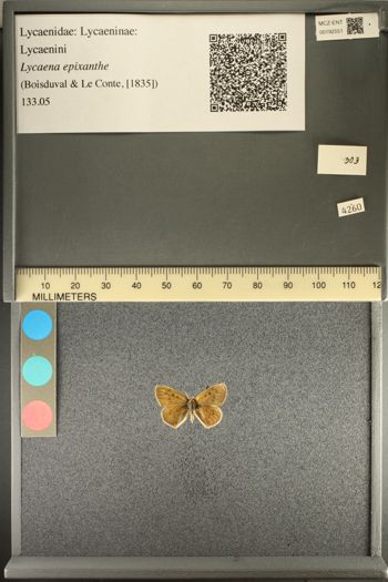 Media type: image;   Entomology 192551